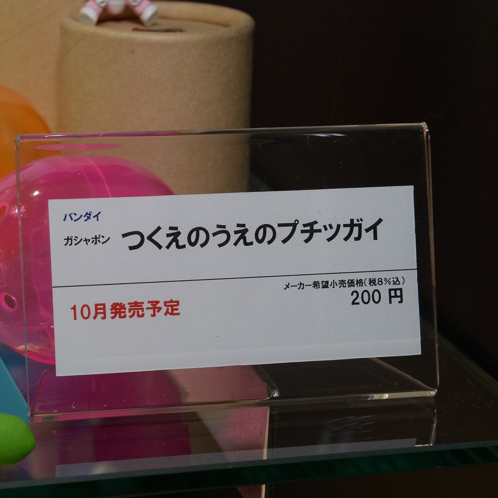 557.jpg