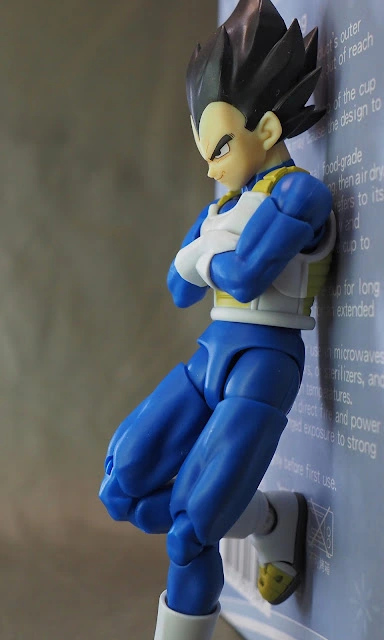 shf-DBDM-Vegeta12.JPG