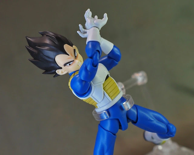 shf-DBDM-Vegeta06.JPG