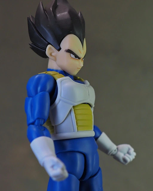 shf-DBDM-Vegeta14.JPG
