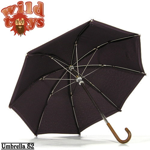 wt-umbrella-s2-2.jpg